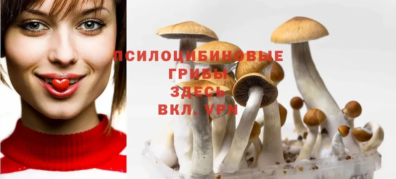 Галлюциногенные грибы GOLDEN TEACHER  купить закладку  Бийск 